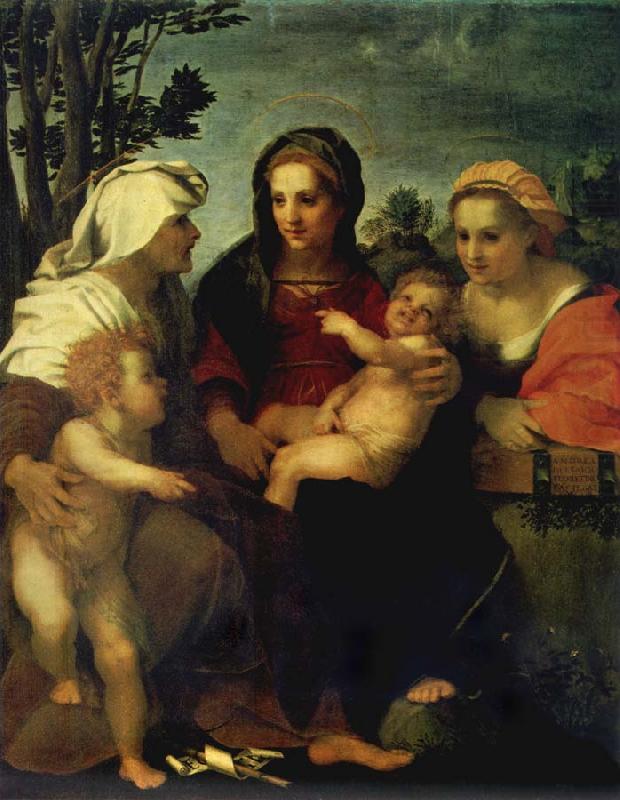 Andrea del Sarto Madonna and child with Sts Catherine and Elizabeth,and St John the Baptist china oil painting image